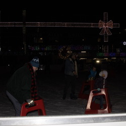 Light the Night 2024